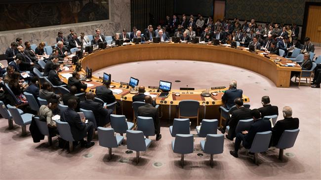 New resolution on immediate global ceasefire presented to UN Security Council