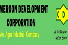 CDC Cameroon CPDM Crime Syndicate: CDC pays CFAF20 billion in back salaries