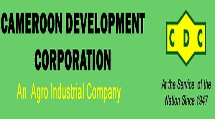 Southern Cameroons Crisis: CDC’s slump drags banana exports lower in June