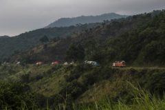 Congo to open two national parks up to oil drilling