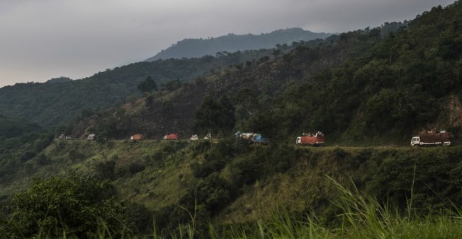 Congo to open two national parks up to oil drilling