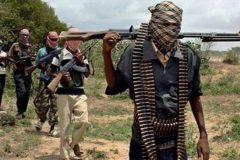 French Cameroun: Three militants killed as Francophone dominated army repels Boko Haram attack