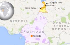Far North Region:  Cholera outbreak surpasses 800 cases, 25 deaths