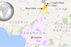 Cholera resurfaces in Cameroon’s North region recording two deaths