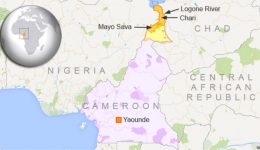 Far North Region:  Cholera outbreak surpasses 800 cases, 25 deaths