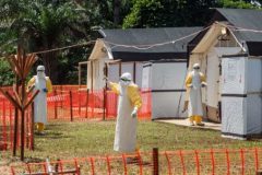 Congo-Kinshasa declares new Ebola outbreak as death toll reaches 15
