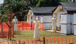 Congo-Kinshasa declares new Ebola outbreak as death toll reaches 15