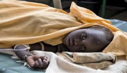 Five dead as cholera outbreak hits Yaoundé
