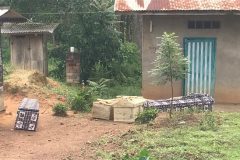 6 civilians killed in DR Congo militant attack