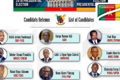 October Presidential Election: Candidates avoiding Southern Cameroons