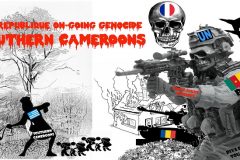 Education in Crisis in the Federal Republic of Ambazonia