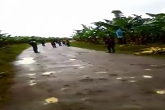 Battle For Ambazonia: Four kidnapped, 11 injured in CDC Tiko attack