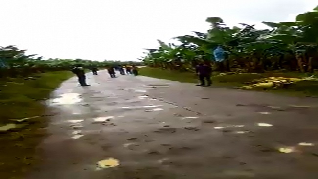 Workers attacked with machetes on Cameroon banana plantation