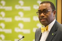 African Development Bank President Akinwumi Adesina in the Netherlands