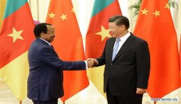 China says it is ready to enhance cooperation with Cameroon