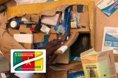 Cameroon presidential poll materials ready