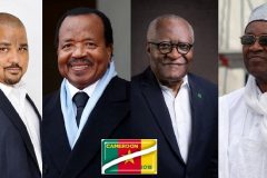 No EU observers for Cameroon presidential election