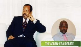40 years in power: What is Mr. Biya’s legacy? 