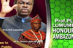 French Cameroun army attacks have killed 4000 Ambazonians: Interim Government