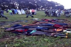 Southern Cameroons Crisis: Genocide will not address the issues
