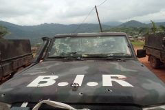Political development and trends as the Southern Cameroons situation continues to deteriorate