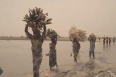 Thousands of Nigerian refugees flee to Cameroon over Boko Haram’s atrocities