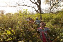 The journey along the gender road in Cameroon