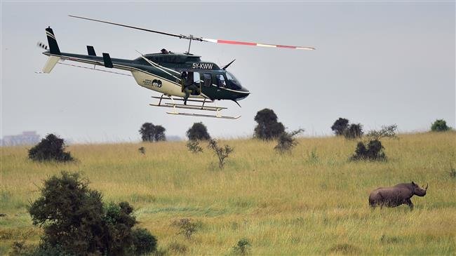 Kenya: 4 American tourists, pilot killed in chopper crash