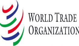 US rejects WTO reform proposal before Yaoundé meeting