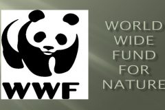WWF-funded forces in Cameroon have tortured and killed indigenous people