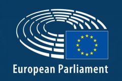 European Parliament resolution on Cameroon
