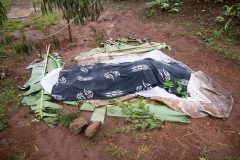 UN calls on Biya regime to investigate anglophone village massacre