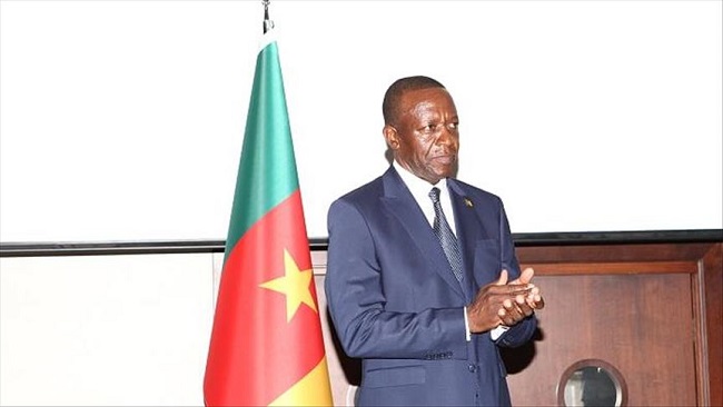 Cameroon celebrates National Day in Ankara
