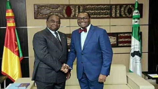 African Development Bank President Meets Cameroon Minister For Loan Arrangement