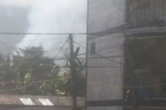 Southern Cameroonians are being killed without any reason