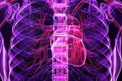 Fako Heart Centre Issues Heart Disease and Stroke Warning