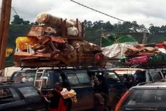 Scared Ambazonians Flee Ahead of Sundays Polls