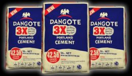 Dangote Cement: Election unrest drives 14% drop in sales in Cameroon