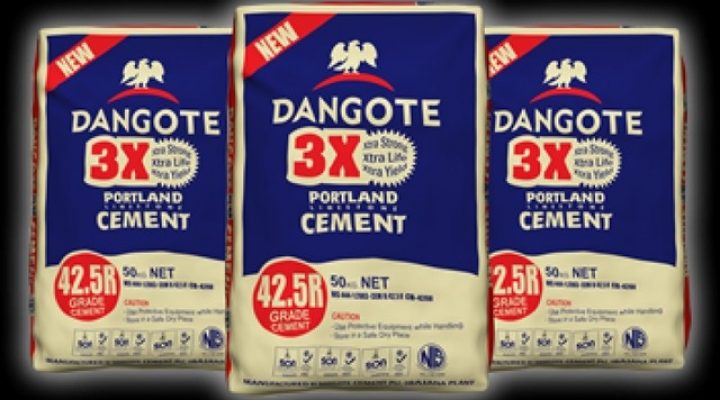 Dangote Cement: Election unrest drives 14% drop in sales in Cameroon