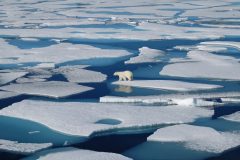 Over 10 billion tons of ice melted in one day in Greenland