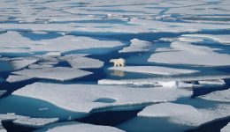 Over 10 billion tons of ice melted in one day in Greenland