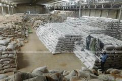 Cameroonians outraged by imported rice as local rice left unsold