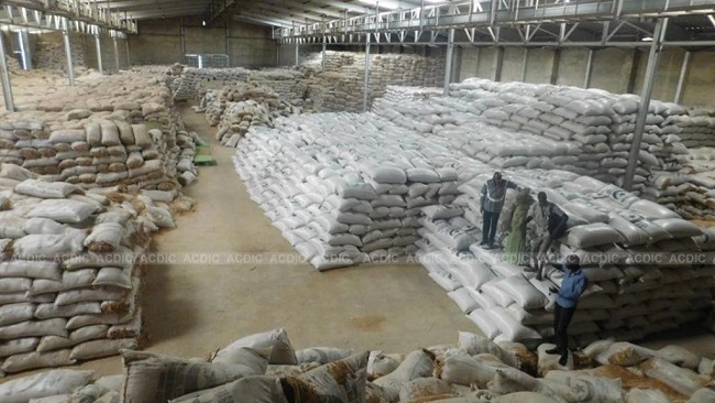 rice Cameroonians outraged by imported rice as local rice left unsold