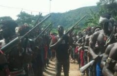 Battle For Southern Cameroons: Peace Foundation Fears for Anarchy as Militias Get Out of Control