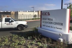 USA: Cameroonian man dies in police custody