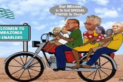 Southern Cameroons Crisis: Will ‘Special Status’ douse the fire?