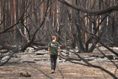 Australia: Relief as rain falls over bush fires
