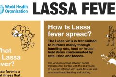 Lassa Fever Breaks Out in Nigeria