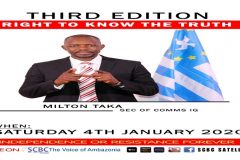 The Ambazonia Interim Government and the Southern Cameroons revolution