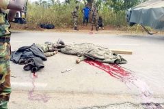 Biya regime says Amba attacks intensify to disrupt March 12 Senate Elections